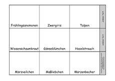 Leporello-Frühbl-Frühlingsbl-z-Einkleben-2.pdf